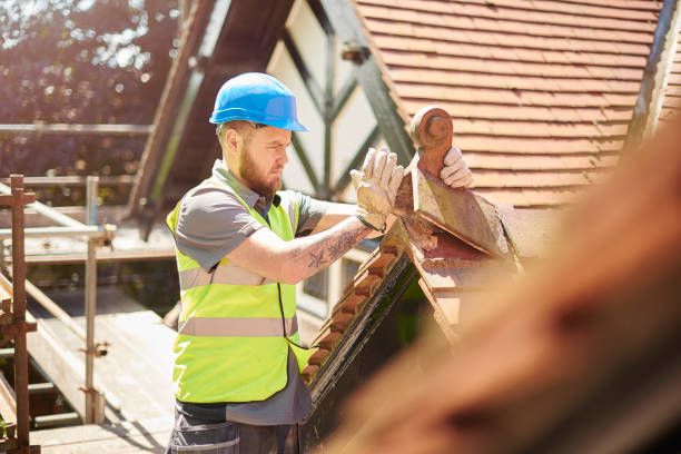 Best Roof Gutter Cleaning  in The Pinehills, MA