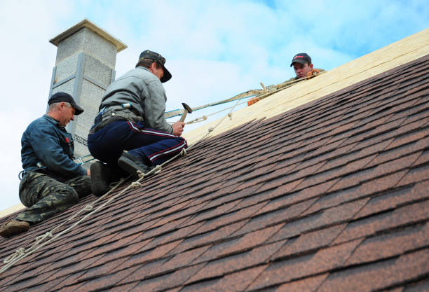 Best Roof Leak Repair  in The Pinehills, MA